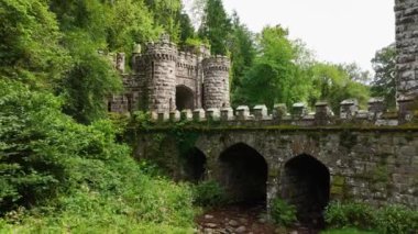 Havadan. Yoğun bir ormanın ortasında bir peri kapısı. Ballysaggartmore Kuleleri. Lismore, County Waterford Ormanı. Mistik bir mekan. Ortaçağ binası. Şatoya açılan kapı. Turizm beldesi