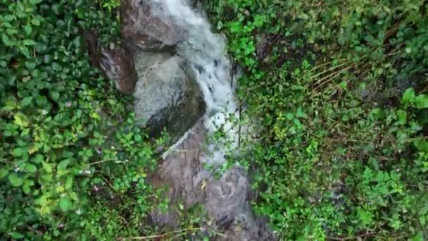 リスコ ウォーターフォード アイルランドの秋のバリスガルトモア滝の4Kドローン映像 カメラは滝から離れていく バリスガルトモアタワー近くの小さな滝 高品質で — ストック動画