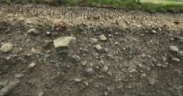 Different Forms Cross Section Soil Horizon Layers Soil Underground Cut — Stock Video