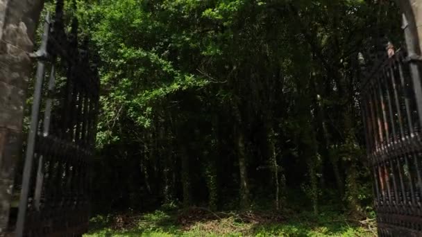 Ballysaggartmore塔 爱尔兰绿林背景下的古老大门 神秘的爱尔兰 相机飞过利斯莫尔中世纪的桥 沃特福德郡的森林 — 图库视频影像