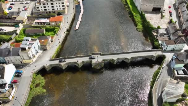 Aerial Top View Ancient Irish City Carrick Suir Panorama Small — Stock Video