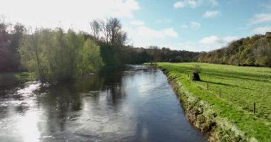 Havadan. Nehir ve renkli sonbahar ormanı olan güzel bir sonbahar manzarası Kilkenny yakınlarında İrlanda sonbaharı, güzel İrlanda doğası. Ormanın renkli yaprakları. Altın sonbahar. Yüksek kalite 4k