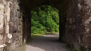 Havadan. Yoğun bir ormanın ortasında bir peri kapısı. Ballysaggartmore Kuleleri. Lismore, County Waterford Ormanı. Mistik bir mekan. Ortaçağ binası. Şatoya açılan kapı. Turizm beldesi