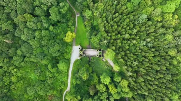 从空中俯瞰荒原百利沙加泰多塔楼 飞越神秘的塔楼 利斯莫尔中世纪桥 沃特福德县森林 一个神秘的地方 中世纪的建筑 通往世界的大门 — 图库视频影像
