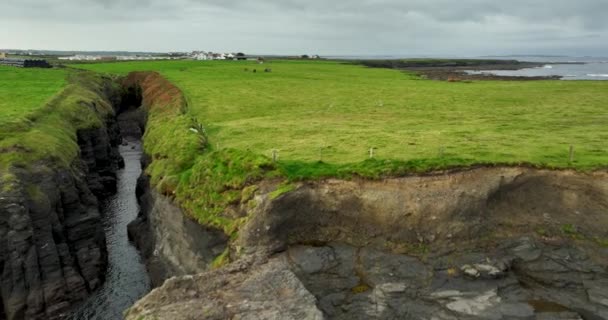 대서양의 County Clare의 아일랜드 명소에서 균열이 있어요 근처의 껍질의 근처의 — 비디오