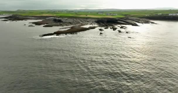 Orilla Rocosa Pedregosa Del Mar Océano Césped Verde Junto Mar — Vídeos de Stock