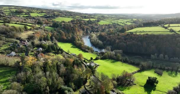 川とカラフルな秋の森 キルケニーに近いアイルランドの秋の風景 田舎のプライベートハウス ノア川岸の素晴らしい景色 美しい景色を眺める — ストック動画