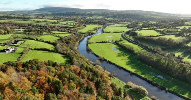 Εναέρια Όμορφο Φθινοπωρινό Τοπίο Ποτάμι Και Πολύχρωμα Φθινοπωρινά Δάση Ιρλανδικό — Αρχείο Βίντεο