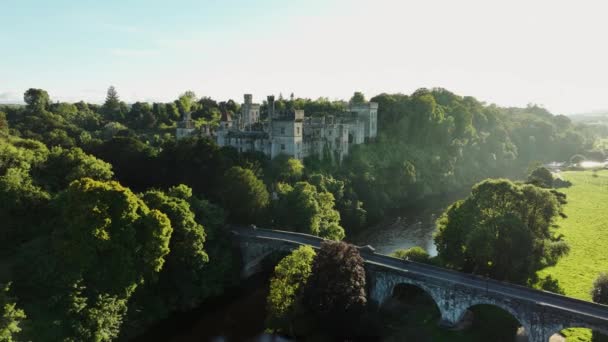 河岸上的城堡城堡坐落在一条风景如画的河流上的一座古桥附近 利索莫城堡四周环绕着树木和一个绿色的花园 背景下的城堡 — 图库视频影像
