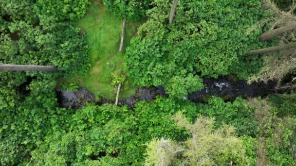 Воздушный Горная Река Посреди Живописной Зелени Горный Поток Камнями Фоне — стоковое видео