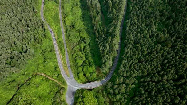 Flygfoto Över Landsvägen Passerar Genom Den Lummiga Grönska Skog Bergslandskapet — Stockvideo