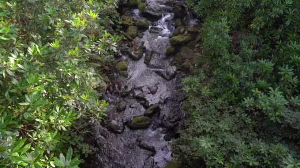 Strumień Wody Spływa Gór Woda Źródlana Górski Minerał Czysta Woda — Wideo stockowe