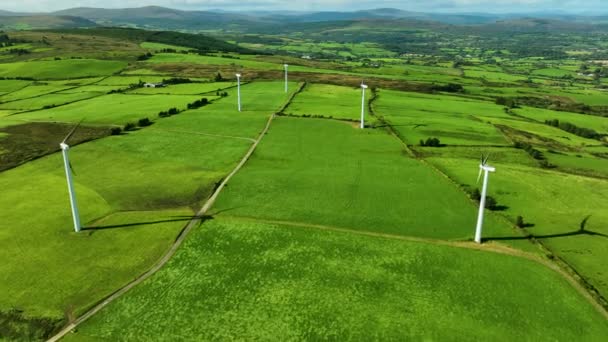 Letecký Pohled Větrnou Elektrárnu Pro Výrobu Energie Krásném Zeleném Poli — Stock video