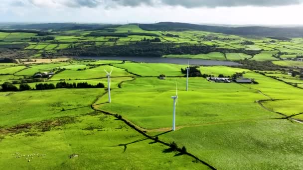 美しい緑地のエネルギー生産のための小さな風車農場 風力発電タービンは 持続可能な開発のためのクリーンな再生可能エネルギーを生成します グリーンフィールドの刃を持つ大型風力タービン — ストック動画