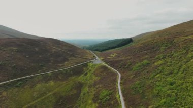 Lismore 'daki yemyeşil dağ manzarasından geçen kırsal yol manzarası. Yol dağlarda yüksektir. Bir orman yolu. Ormanın içinde uzun bir yol. Bir yolda...