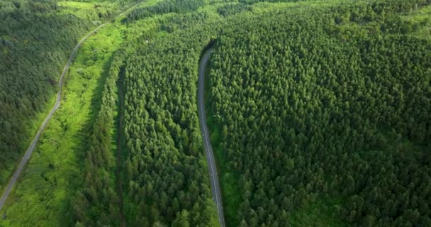Letecký Pohled Krajinu Silnice Procházející Bujnou Zelení Lesní Horské Krajiny — Stock video