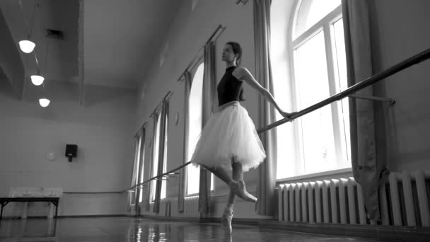 Prima Ballerina Witte Rok Die Balletposities Oefent Buurt Van Balletbarre — Stockvideo