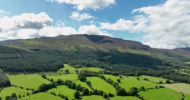 Volkanik dağın yeşil alan ve ağaçlardan oluşan bir zemin manzarası. Tonelagee Dağı 'ndan Lough Ouler' in hava görüntüsü. Yeşil tepelerin ortasındaki dağ gölü. Temiz su.