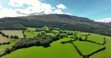 Doğanın güzelliğini, yemyeşil tarlaların görkemli dağların ve dingin manzaraların sükuneti davet ettiği bu görüntülerde yaşayın. Waterford County, İrlanda. Yüksek kalite 4k görüntü