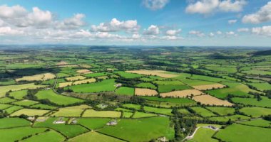 Bu video, doğanın güzelliğini ve sükunetini vurgulayan, tarlaları ve dolambaçlı bir yolu olan çarpıcı yeşil kırsal manzaraları gösteriyor. Waterford County, İrlanda. Yüksek kalite 4k