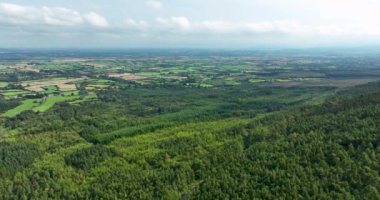 Yuvarlanan tepeler arasında yemyeşil bir ormanın havadan görünüşü güzelliği ve dingin atmosferi vurguluyor. Eş Tipperary, İrlanda. Yüksek kalite 4k görüntü