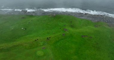 İrlanda 'nın batı kıyısındaki güzel Doonagore Kalesi' nin üzerindeki hava manzarası. İrlandalı vahşi Atlantik yolu boyunca ünlü turistik cazibe. Doonagore Kalesi, Doolin, County Clare, İrlanda. Yüksek