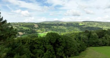 Yeşillik yeşil tepeleri ve çarpıcı bulutlu gökyüzüne kurulmuş canlı ağaçları gösteren gerçekten resimsel bir manzara. İrlanda. Yüksek kalite 4k görüntü