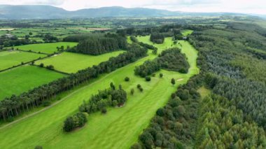 Ormandaki Dar Golf Sahası 'na havadan bir bakış açısı. Sıcak, güneşli bir gün golfçüler için mükemmel. Ufukta orman olan güzel bir golf sahası. Yaz manzarası. Özel golf sahası. Birlikte