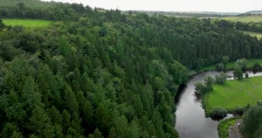 Bu hava videosu yemyeşil bir ormanda kıvrılan sakin bir nehri vurguluyor. Manzara, doğanın güzelliğini gözler önüne seriyor, izleyicileri sükunete boğuyor. İrlanda. Yüksek kalite 4k görüntü