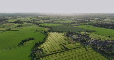 AERİAL. Geniş bir hava manzarasında açık mavi gökyüzünün altında canlı yeşil alanlar ve tarım arazileri yer alıyor. Uzun bir tarlanın üzerinde bir uçuş. Çiftlik arazisi. Kilkenny, İrlanda. Yüksek kalite 4k