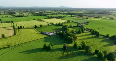 Bu çarpıcı hava manzarası, resim gibi ve huzurlu bir manzaranın yanında canlı yeşil alanlar sergiliyor. Uzun bir tarlanın üzerinde bir uçuş. Çiftlik arazisi. İrlanda. Yüksek kalite 4k görüntü