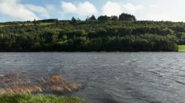 Bu çarpıcı hava videosu, doğanın sükunetini ve güzelliğini vurgulayarak, parlak güneş ışığı altında yeşil alanlar ve ormanlar sergiliyor. 4K doğa çekimi. Yüksek kalite 4k görüntü