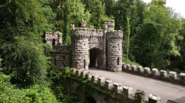 Havadan. Yoğun bir ormanın ortasında bir peri kapısı. Ballysaggartmore Kuleleri. Lismore, County Waterford Ormanı. Mistik bir mekan. Ortaçağ binası. Şatoya açılan kapı. Turizm beldesi