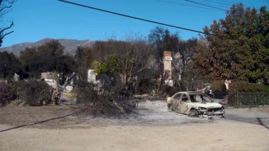 14 Ocak 2025 'te Pasadena, Kaliforniya' da çıkan yangından sonra çekilen statik görüntüler. Videoda yanmış bir araba, tahrip edilmiş ağaçlar ve konut kalıntıları var.
