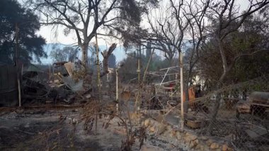 4 bin. Pasadena, California 'da çıkan yangından sonra. 9 Ocak 2025 'te yakalandı. Gök kubbeli bir mekandan arta kalan kömürleşmiş kalıntılar mutlak yıkım ve yalnızlığı canlı canlı gözler önüne seriyor. A