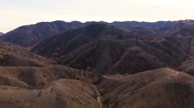 22 Şubat 2025 'te Los Angeles, Kaliforniya' daki Caballero Canyon 'un kavurucu dağları üzerinde ileri yönde çarpıcı bir uçuş çekildi. Şiddetli bir orman yangınının yıkıcı sonucu...