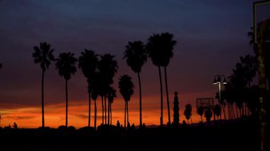 Venedik Sahili, Los Angeles 'ta gün batımına karşı uzun palmiye ağaçlarının silueti. Turuncu, mor ve pembenin derin renkleri nefes kesici bir kontrastlık yaratır.