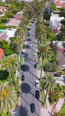 Beverly Hills, California 'da palmiyeli bir yerleşim sokağının üzerinde ilerleyen kameralı dikey İHA görüntüleri. Zarif evler, lüks arabalar ve bereketli yeşillik lüks hayatı tanımlar.