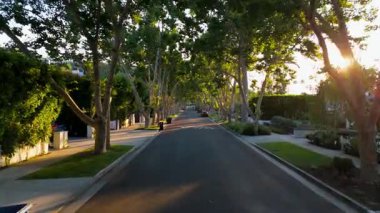 Los Angeles 'ta huzurlu bir yerleşim caddesinde, sıcak altın saat güneş ışığı altında ilerleyen hava görüntüleri. Uzun ağaçlar yol boyunca doğal bir gölgelik oluşturur. Yumuşak ve uzun ağaçlar.