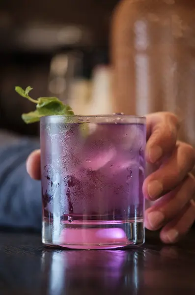Close Image Capturing Allure Refreshing Purple Cocktail Adorned Sprig Green — Stock Photo, Image