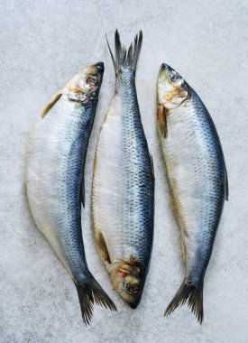 Three vibrant herring lay side by side, their smooth bodies glistening under soft light. The subtle reflections emphasize their freshness and the artistry of the catch. clipart