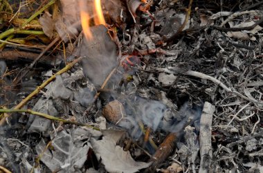 Kuru ot ve sazlık yazma