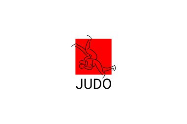 Judo sporu vektör çizgisi simgesi. Sporcu, dövüş duruşu. spor resimleme.