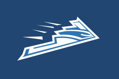 Amerikan Gizli Bombacısı Jet vektör çizimi