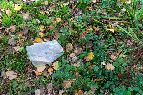 Smutna Scena Plastikowej Torby Leżącej Ziemi Rezerwacie Przyrody Eijsder Beemden — Zdjęcie stockowe