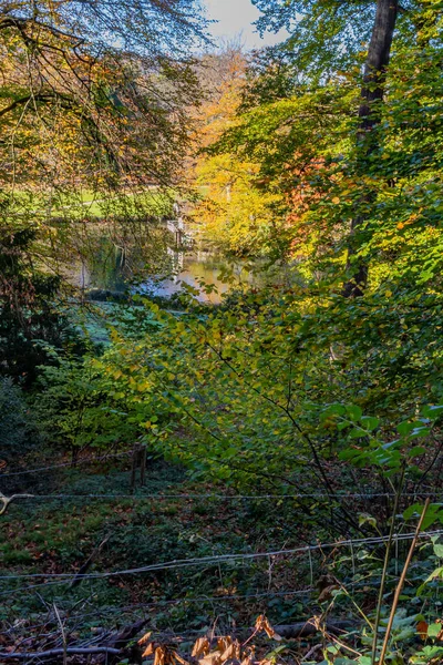 Paisagem Outono Com Folhagem Verde Amarela Árvores Com Lago Uma — Fotografia de Stock
