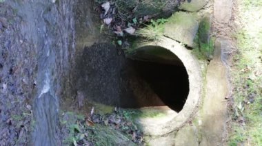 Beton drenaj borusu temiz şeffaf suyla bir dereye akıyor, taştan bir duvar vahşi bitki örtüsüyle çevrili, güneş ışığıyla aydınlatılıyor, Hollanda, Güney Limburg 'da sonbahar günü