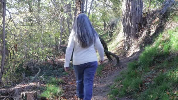 Caminhante Feminina Caminhando Trilha Cruzando Sob Ramificação Meio Caminho Volta — Vídeo de Stock