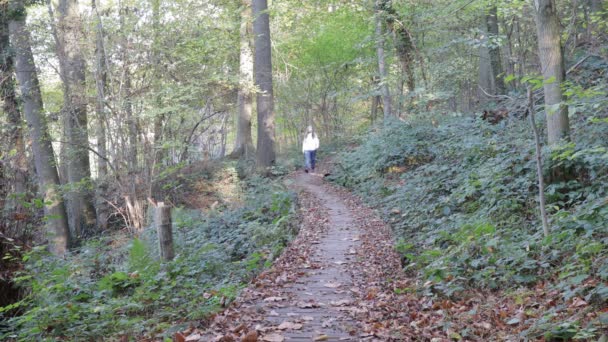 Caminhante Sênior Caminhando Caminho Madeira Entre Árvores Vegetação Selvagem Cabelos — Vídeo de Stock