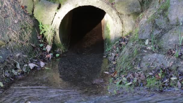 Limpe Água Transparente Que Flui Tubo Drenagem Concreto Córrego Parede — Vídeo de Stock
